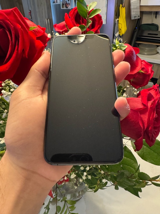 iPhone 11 Pro Max 256GB - 100% Battery Health - photo 2