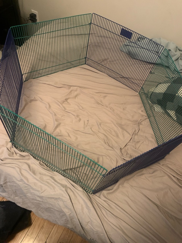 Small Animal Outdoor/Indoor Play Area - photo 2