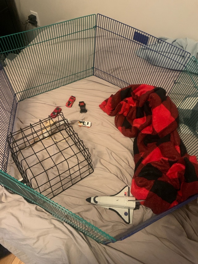 Small Animal Outdoor/Indoor Play Area - photo 3