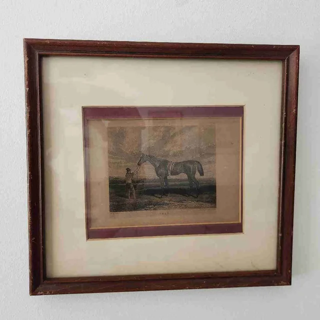 Vintage Horse Litho Print image indicator(2)