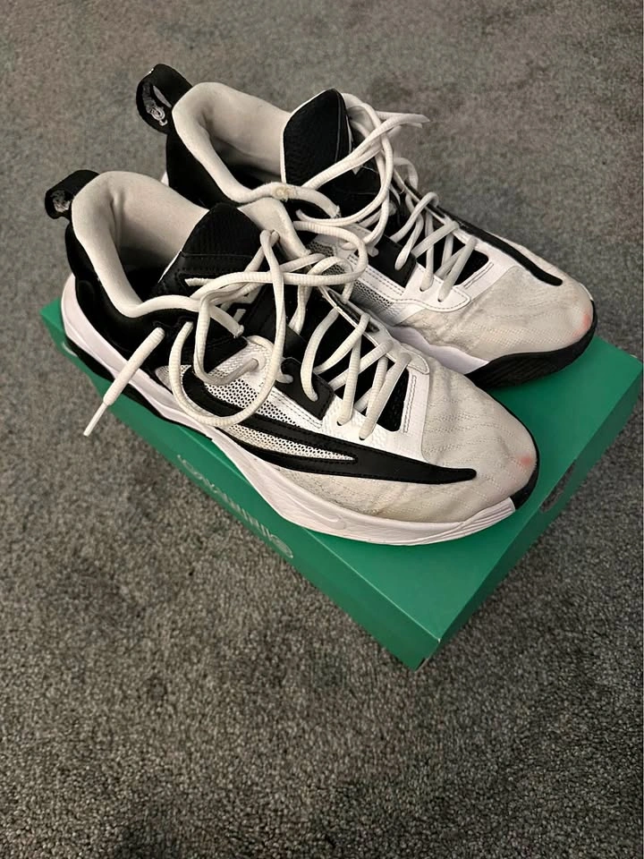 Giannis Immortality 3