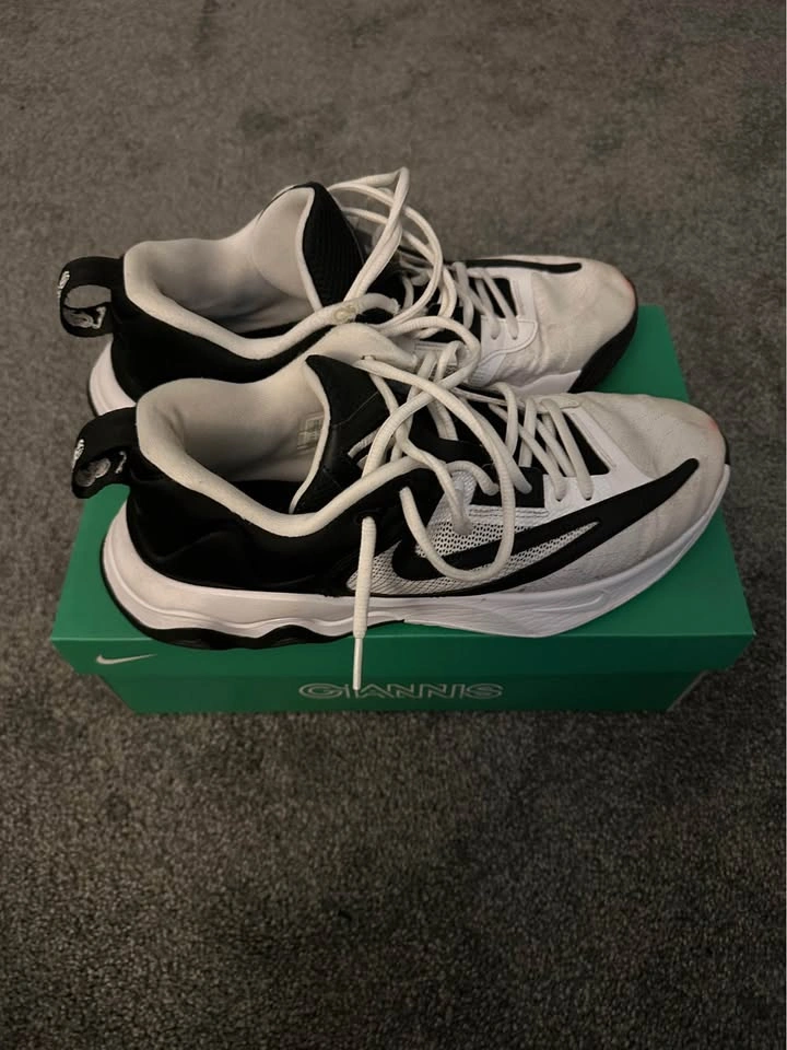 Giannis Immortality 3 - photo 2