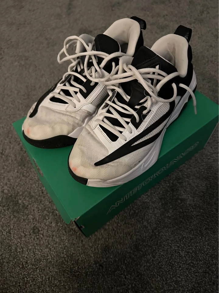 Giannis Immortality 3 - photo 3