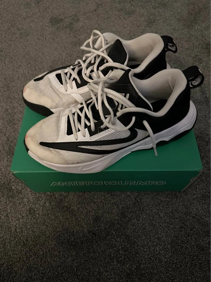 Giannis Immortality 3 - photo 4