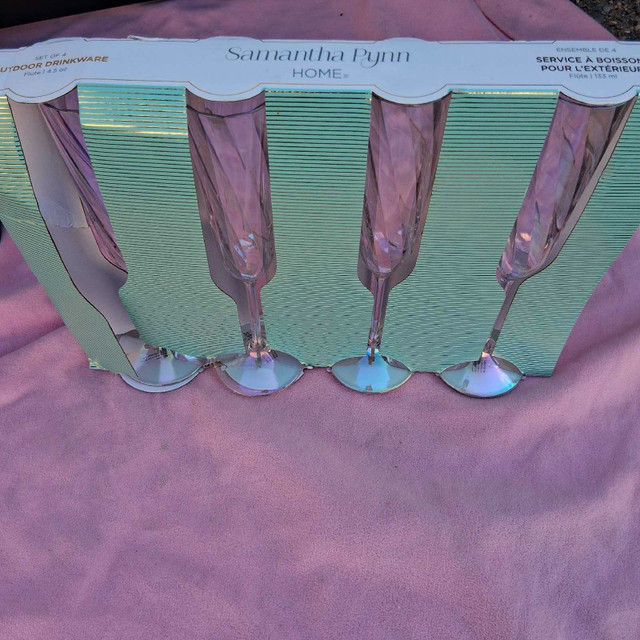 Samantha Pynn Plastic Flutes Set of 4