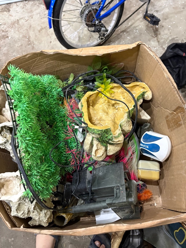 Fish and Aquarium Accessories