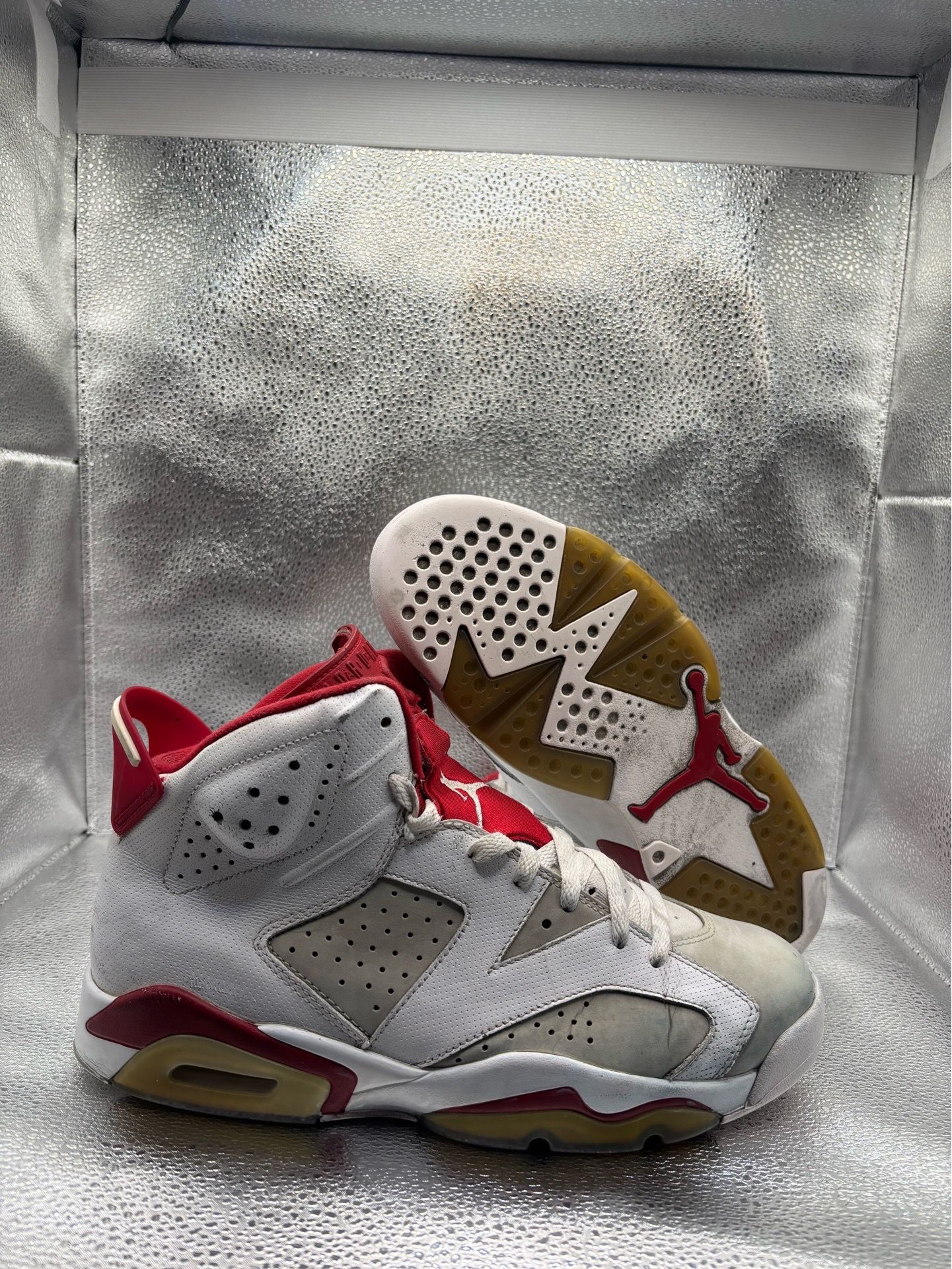 Air Jordan 6 Alternate Hare