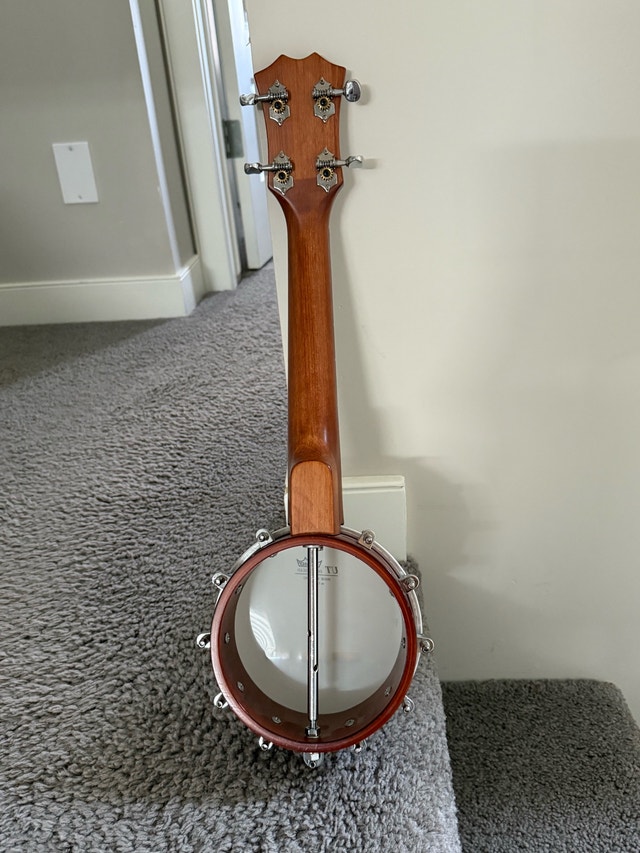 Alabama banjolele - photo 2