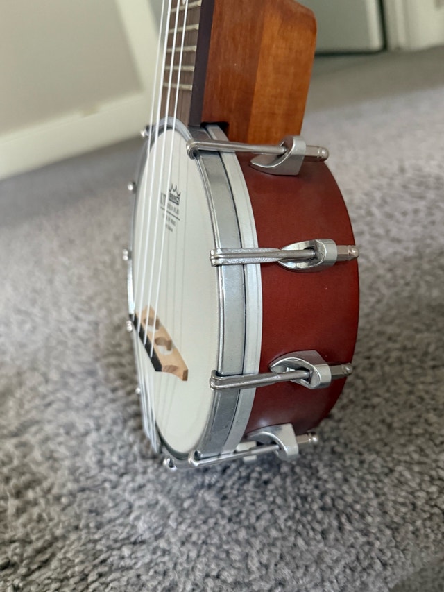 Alabama banjolele - photo 3