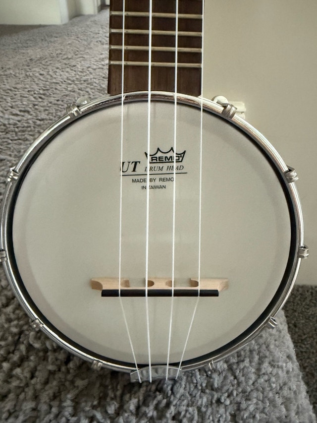 Alabama banjolele - photo 4