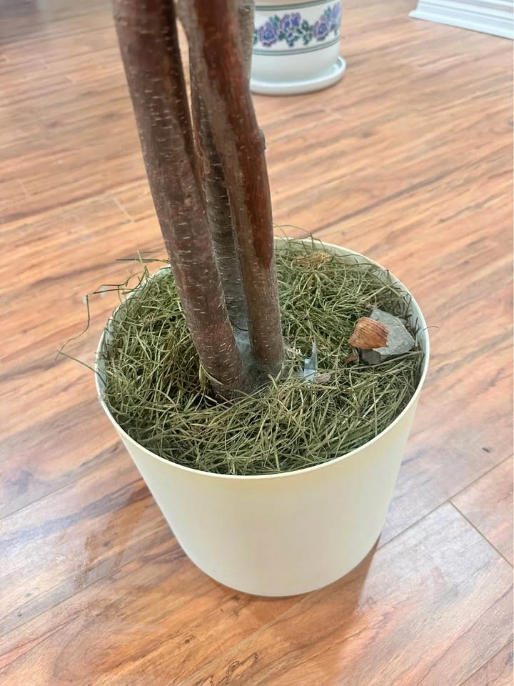 5.2ft Artificial Ficus Tree w/ Braided Wood Trunk - photo 5