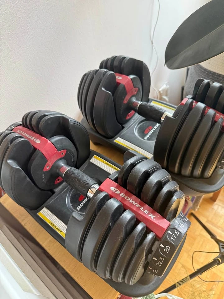 Bowflex Dumbbells and Adjustable Bench