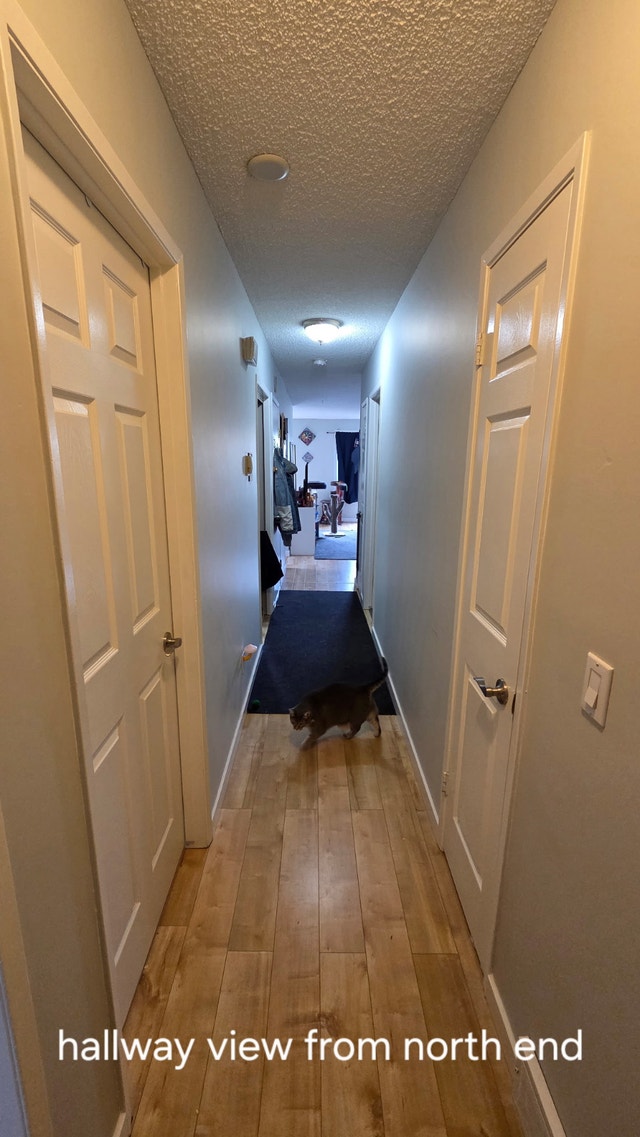 Roommate needed for $650 in CedarBrae - photo 2