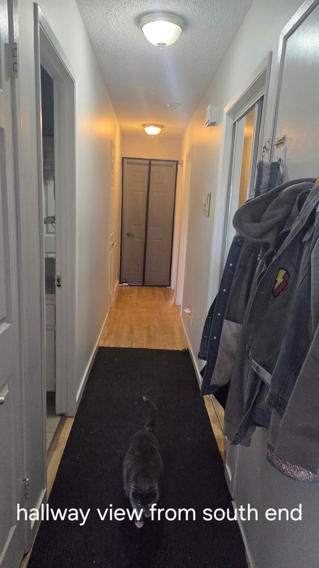 Roommate needed for $650 in CedarBrae - photo 3