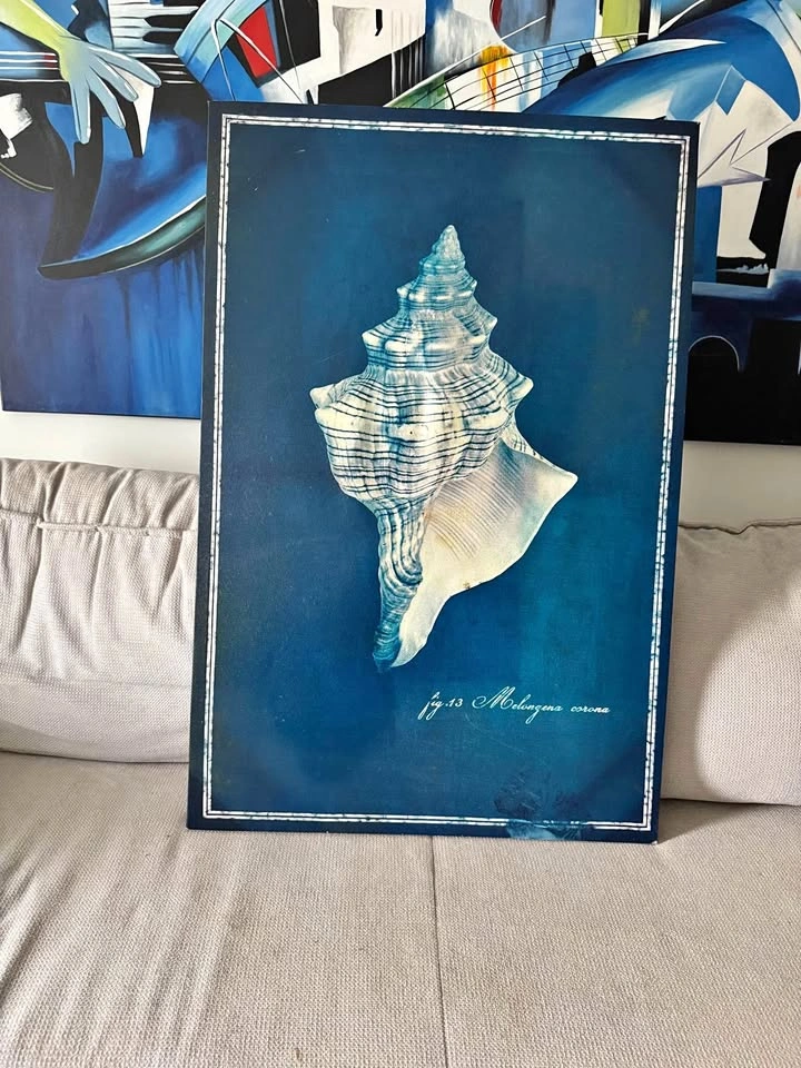 Nautical Canvas Print