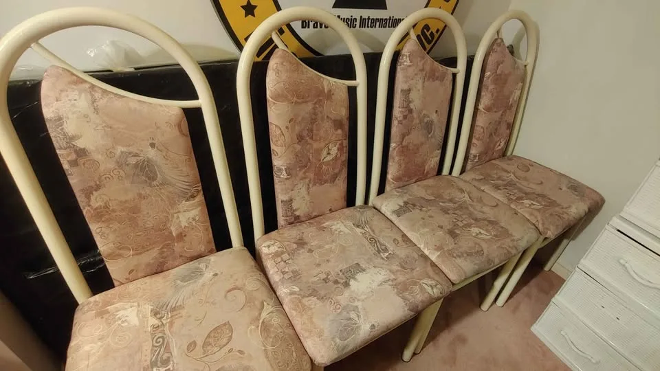 Dining Chairs (Set of 4) image indicator(2)