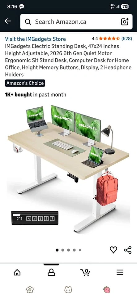 Adjustable desk with office chair (moving out sale)