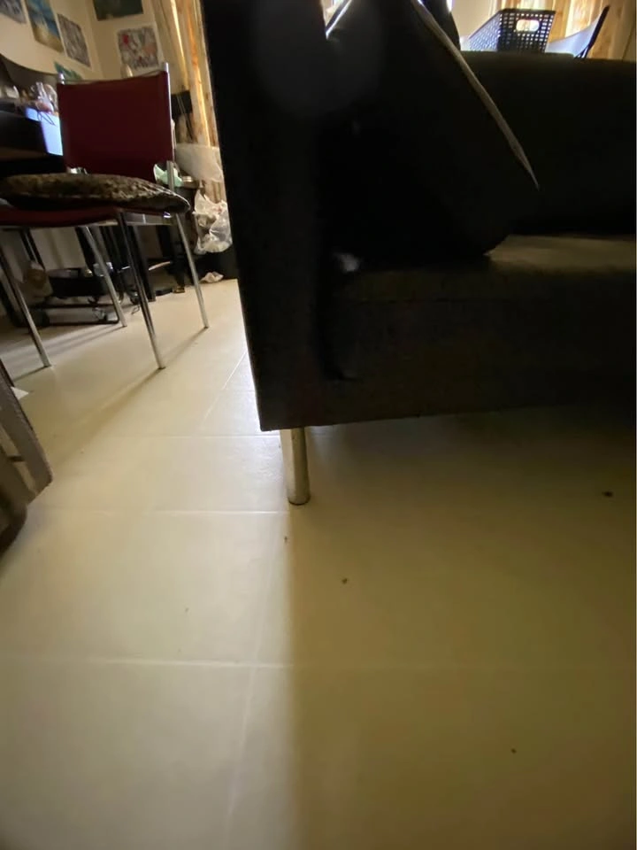 IKEA Dark Brown Leather Sofa - photo 4