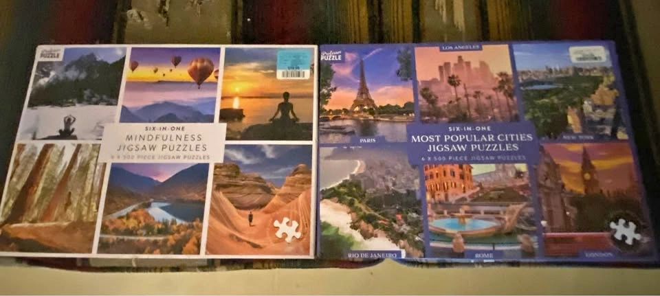 Professor Puzzle Six-in-One Jigsaw Puzzles Mindfulness & Cities