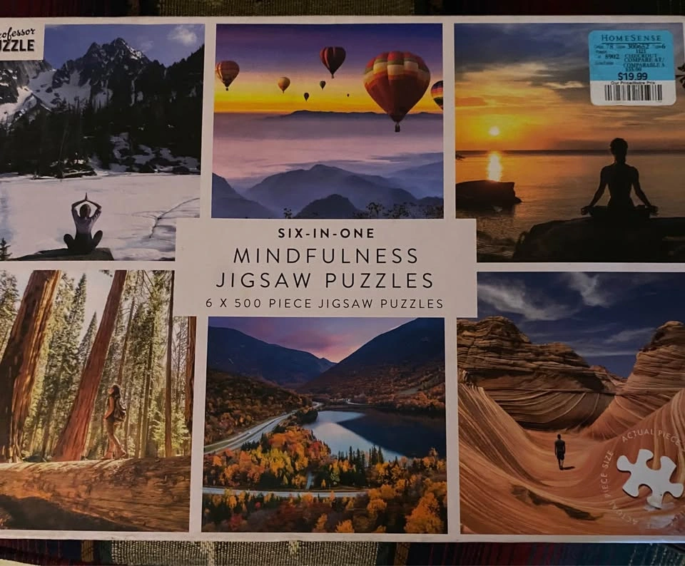 Professor Puzzle Six-in-One Jigsaw Puzzles Mindfulness & Cities - photo 2
