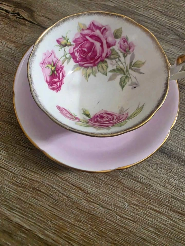 Royal Standard Orleans Rose Teacup and Saucer