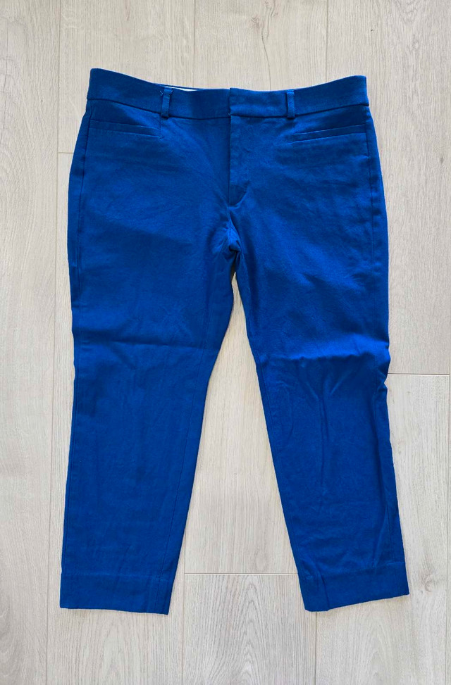 Banana Republic Sloan Crop pants Size 8 Petite