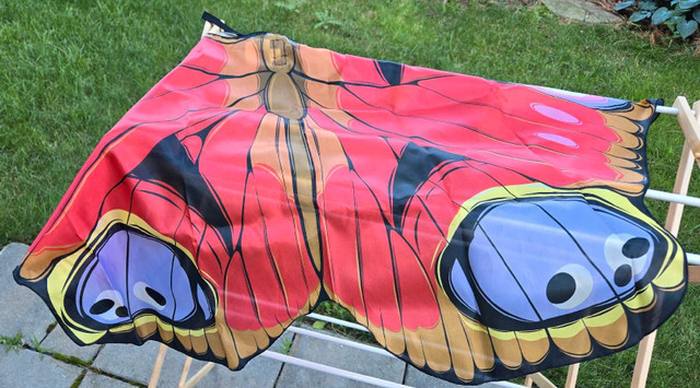 Butterfly wings & antennae