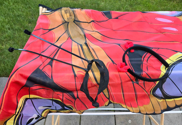 Butterfly wings & antennae - photo 2