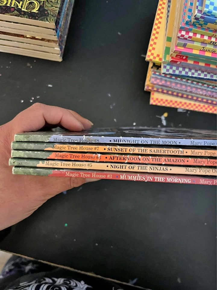 5 Magic Tree House Books