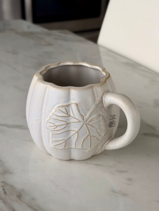 Oversized Pumpkin Ceramic Mug / Soup Bowl