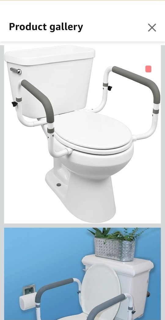 Toilet Safety Rails (obo)