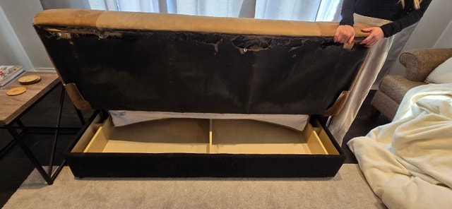 FREE - Furniture - photo 4