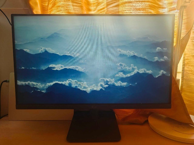 LG Monitor 1080p 24 inch