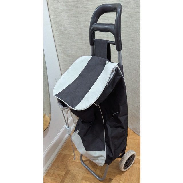 Used Compact Portable Folding Luggage Shopping Cart Trolley