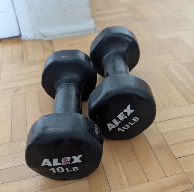 Anti Slip 20 LB Dumbbell Set (2x10 LB)