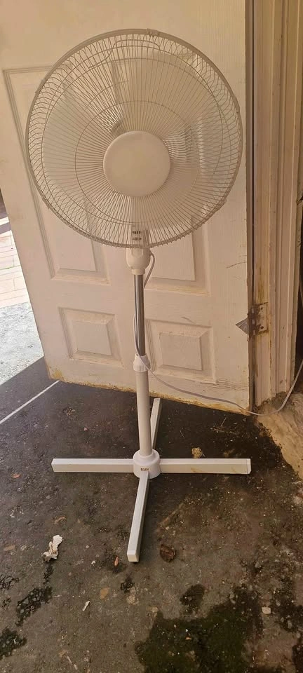 White Pedestal Fan