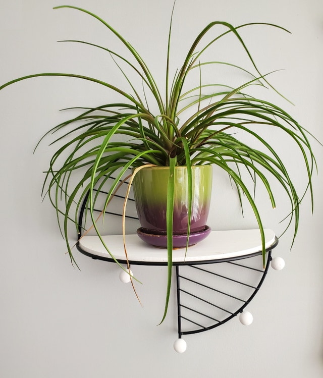 Decorative Display Shelf with Hooks - photo 4