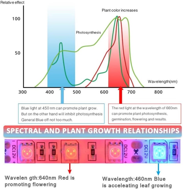 Full Spectrum LED Plant Grow Light Strip - 16.4FT - photo 3