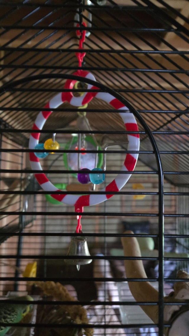 Budgie Swing with Living World Circus Toys - photo 2