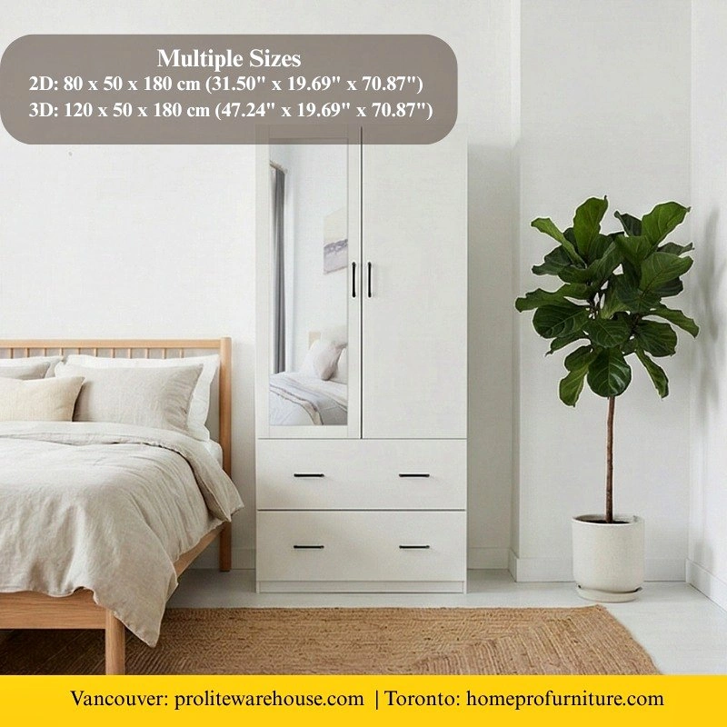 Contemporary Wardrobe Closet with Mirror Door