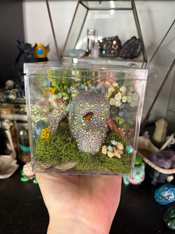 Cubone Skull Insect Terrarium - photo 2
