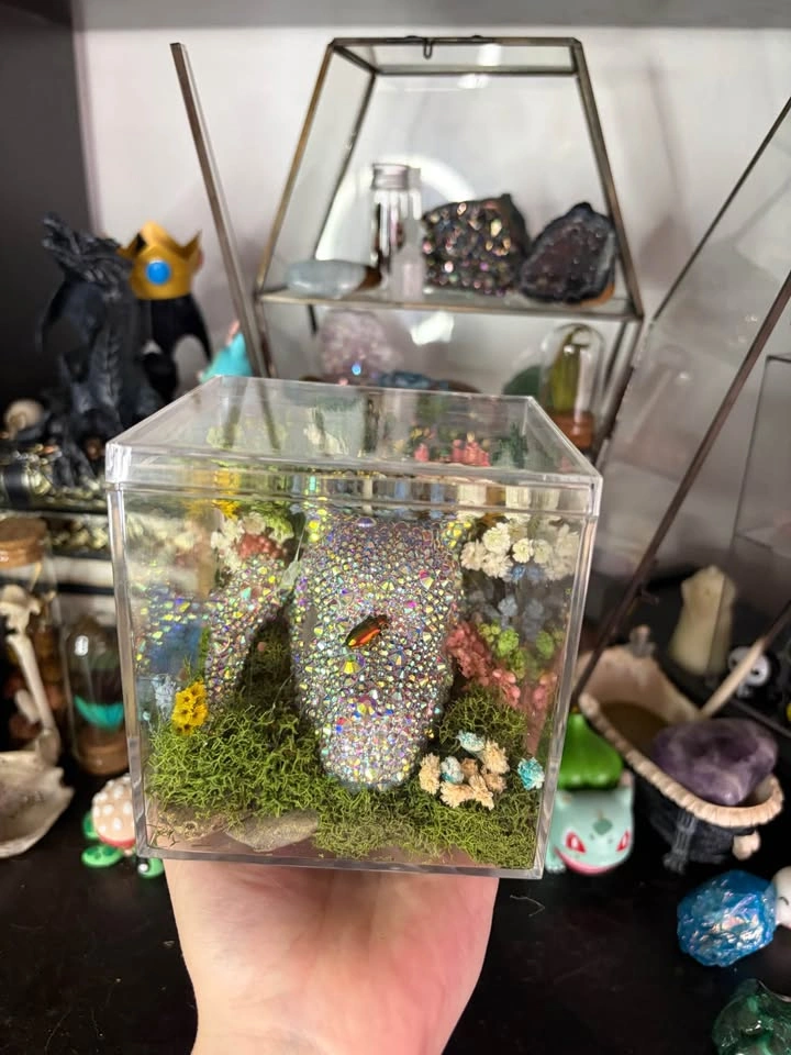 Cubone Skull Insect Terrarium - photo 5