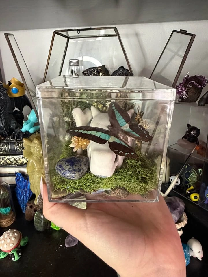 Cubone Skull Butterfly Terrarium - photo 3