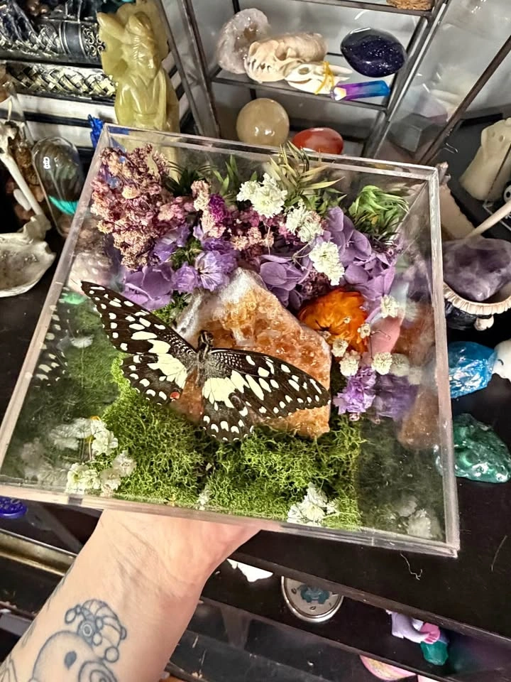 Citrine Crystal with Butterfly Terrarium