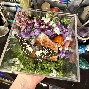 Citrine Crystal with Butterfly Terrarium