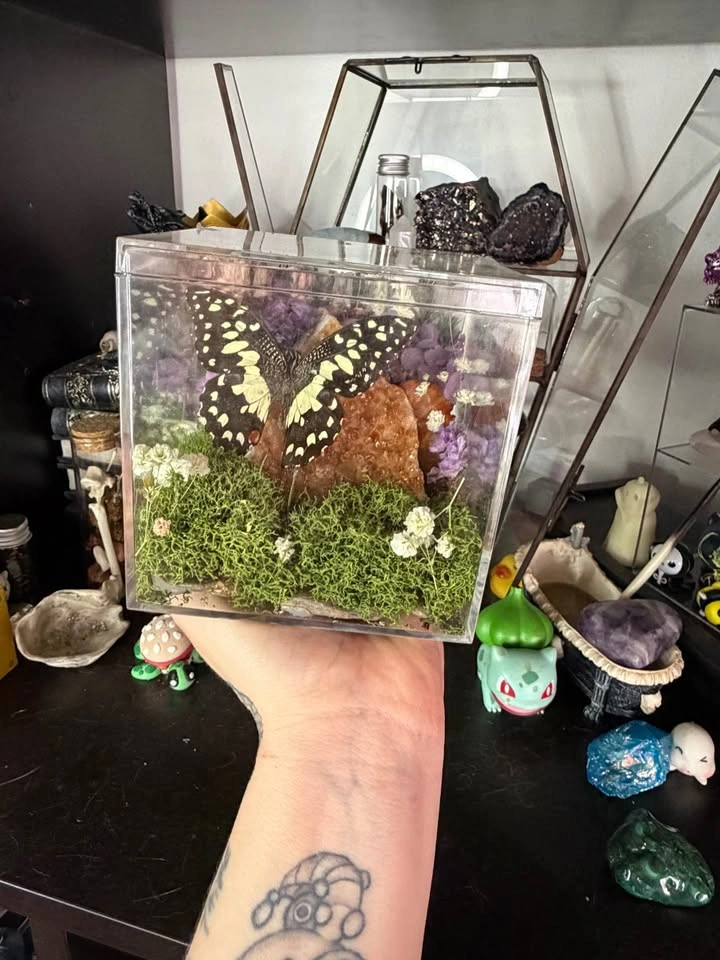 Citrine Crystal with Butterfly Terrarium - photo 3