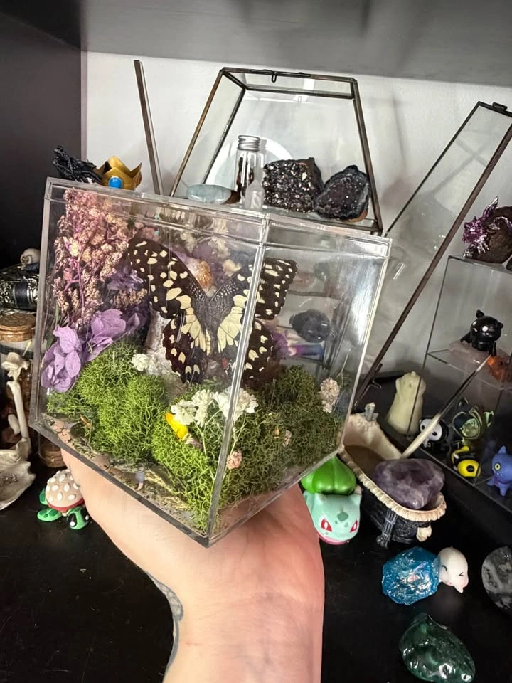 Citrine Crystal with Butterfly Terrarium - photo 4