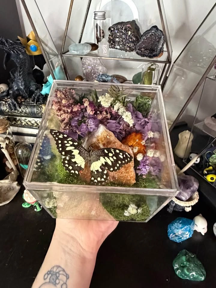 Citrine Crystal with Butterfly Terrarium - photo 5
