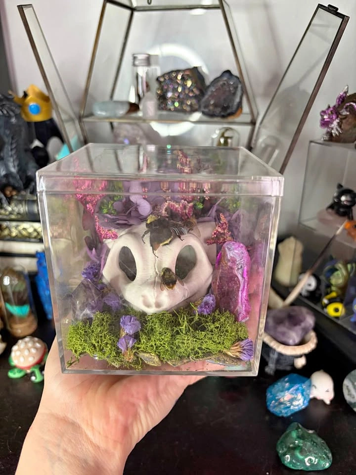 Mew Skull Insect Terrarium