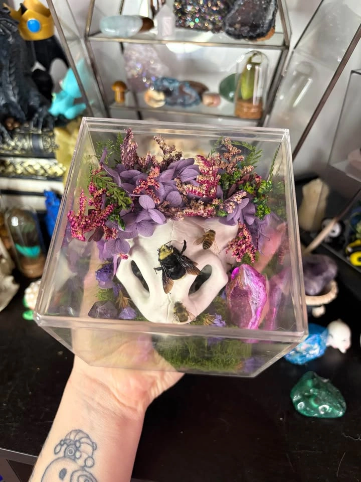 Mew Skull Insect Terrarium - photo 2